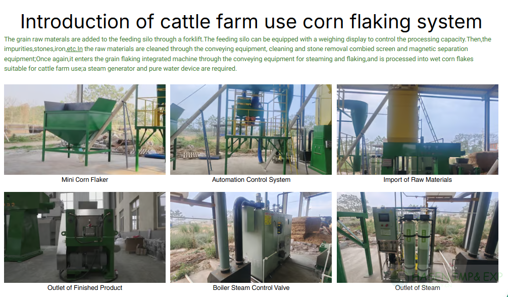 cattle farm use corn flaking system1.png