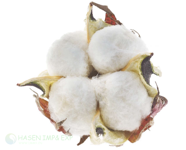 1767846741844209.png 微信图片_20240924144016.png