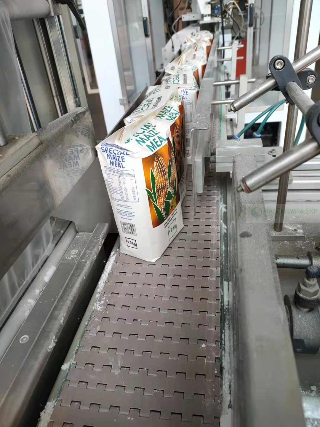 Flour Paper Bag Packing Machine for Flour Mills-Wuxi Hasen